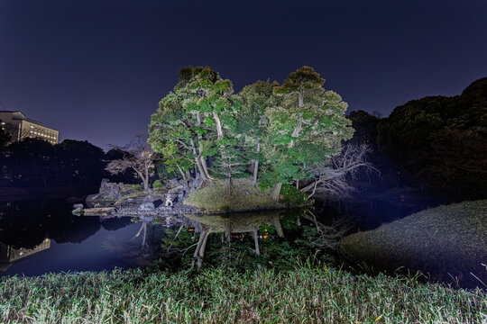 Illuminated Horaijima Island perfectly reflected in the pond at Koishikawa Korakuen at night January 2024
