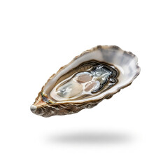 Obraz premium Fresh Raw Oyster on Half Shell Isolated on White Background with Shadow for Seafood Menu Design