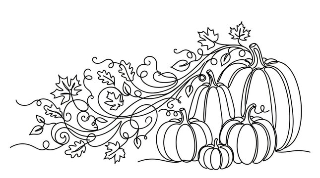 Autumn pumpkins and decorative vine illustration with leaves