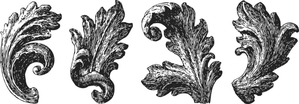 vintage engraving ornamental leaf scrolls decorative antique foliage elements