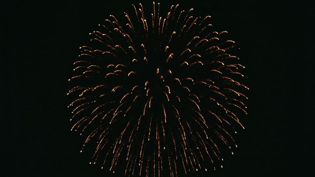 Single golden firework burst against black night sky