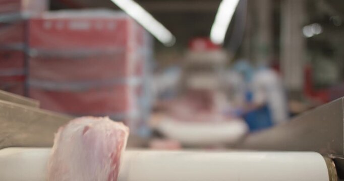 Fresh pork loin moving on white conveyor in cutting plant