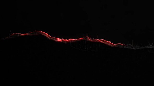 Glowing red lava flow at night.