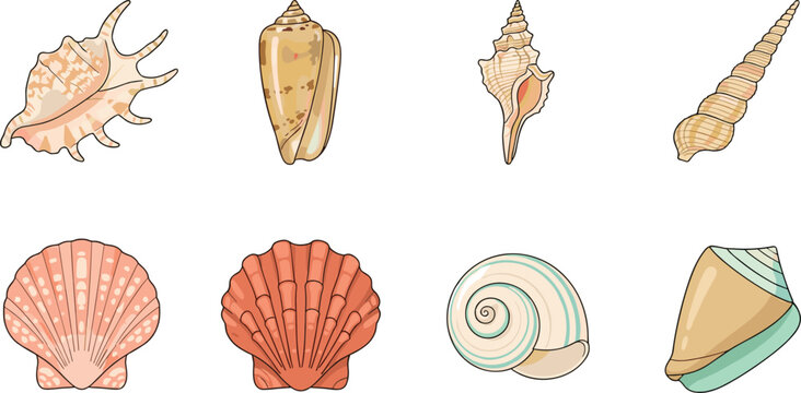 Colorful Tropical Seashell Collection Flat Vector Set with Conch Scallop and Spiral Shells