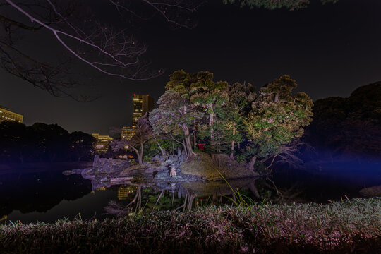 Contrast between modern skyscrapers and the traditional Oizumisui pond, viewed over illuminated foreground grass at night in Koishikawa Korakuen January 2024