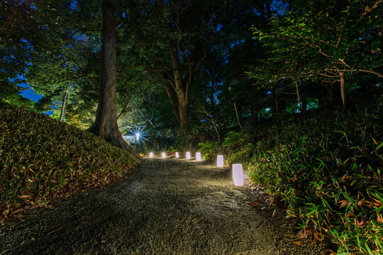 A mystical walking path illuminated by small traditional lanterns in the woods of Koishikawa Korakuen at night January 2024