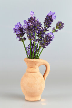 Lavender flowers in the vase, closeup