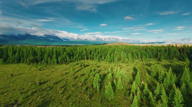 Aerial fpv forest toward open rural plain with farmhouse under moving clouds Chuysky tract Altai, Siberia, Russia.