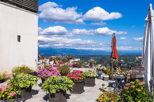 Floral abundance on BC rooftop patio garden with extensive view over Fraser Valley.
