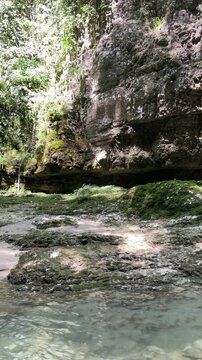 camera explores a shaded limestone gorge with mossy rocks and clear shallow water, revealing textured cliff walls, cool river currents and a secluded wild forest landscape
