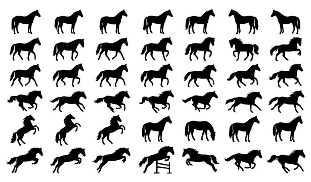 Running and Jumping Horse Silhouette Vector Collection with Stallion Equestrian Black Icons