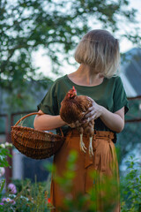 Female farmer gently holds red hen beside chicken coop with basket filled with fresh eggs. Rural lifestyle and responsible poultry care emphasize organic farming © lesichkadesign