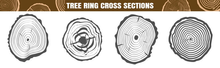 Fototapeta premium Black and white tree ring cross sections with cracks. Circular wood textures of tree stumps and logs.