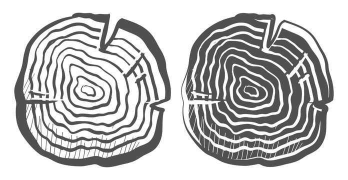 Two wood tree rings cross sections with concentric growth rings. Split cracked tree stump textures in black and white.
