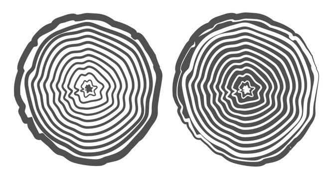 Two black and white tree ring cross sections with concentric wood grain patterns on white background.