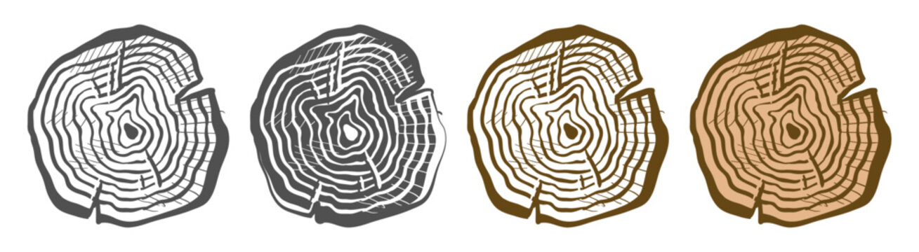 Set of detailed wood stump cross-section illustrations. Four colorful tree ring textures with cracks and scratches.
