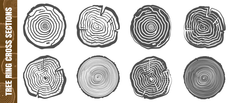 Set of black and white tree ring cross-section patterns. Detailed natural wood textures on white background.