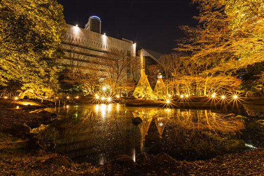 Panoramic night view of Koishikawa Korakuen with countless sparkling light flares and Yukitsuri reflecting symmetrically on the pond January 2024