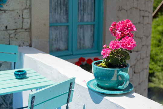 Vibrant geranium in ceramic planter on sunny patio