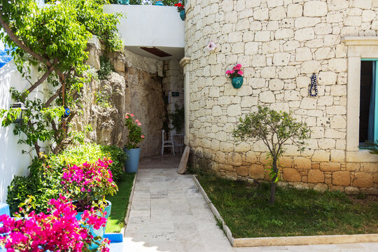Charming garden path with colorful flowers