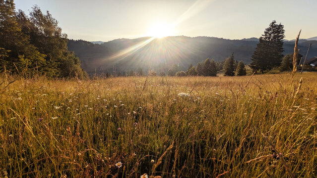 beautiful Carpathian landscape