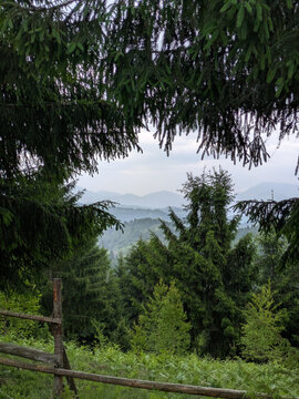 beautiful Carpathian landscape