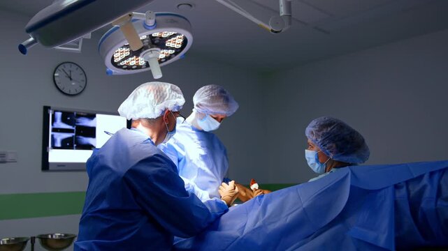 Doctors and nurse stand at the operating table covered with blue sheet. Nurse passes a swab to the surgeon.