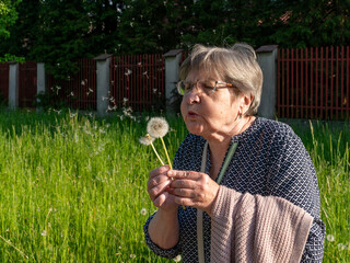 A senior woman wearing eyeglasses holds two common dandelion seed heads, Taraxacum officinale, and blows gently toward them in a sunlit meadow. The portrait represents active aging, playful memories,  © Volha