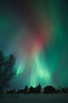 Mesmerizing aurora over winter landscapes in Lofoten