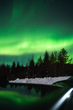 Arctic winter night with aurora over Lofoten trees