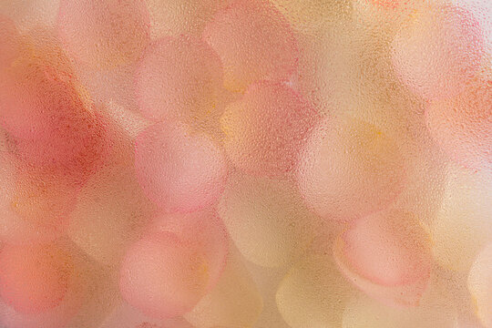 Beautiful floral design with water drops on petals