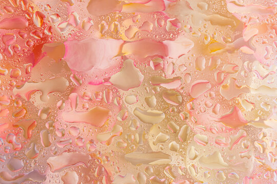 Beautiful floral background with water drops
