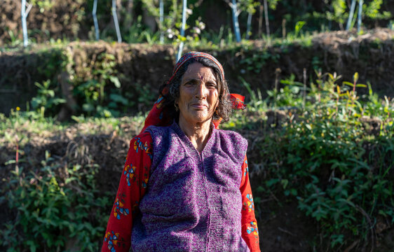 A closeup portrait of a Pahari senior woman standing in a terraced field and looking at the camera during the daytime, dressed in traditional clothing, knitted vest, and a headscarf (dhatu).