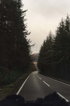 Winding forest road on the Isle of Skye, Scotland