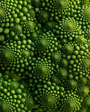 Close view of green romanesco broccoli showing its unique spiral patterns and textures