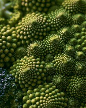 Close-up view of romanesco broccoli showing unique green patterns and textures in a natural setting