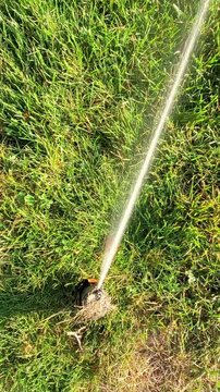 Sprinkler in Park Spraying Water on Lush Green Grass Irrigating and Watering Lawn