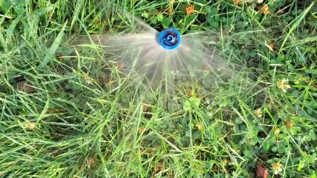 Sprinkler in Park Spraying Water on Lush Green Grass Irrigating and Watering Lawn