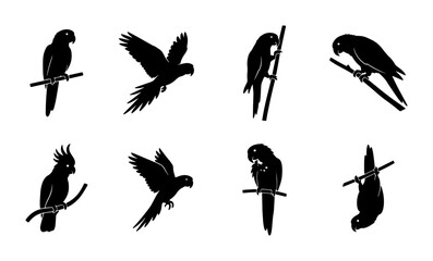 Fototapeta premium Parrot Silhouettes Collection: Tropical Birds Vector Icons, Exotic Avian Graphics, Wild Nature Elements