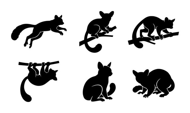 Vector Silhouettes of Six Possum Animals in Various Poses, Black and White Graphic Elements
