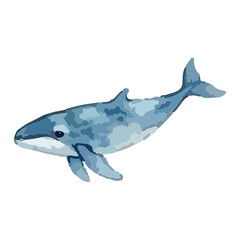 Fototapeta premium Watercolor vector illustration of a whale