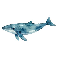 Watercolor vector illustration of a whale © Menhikki