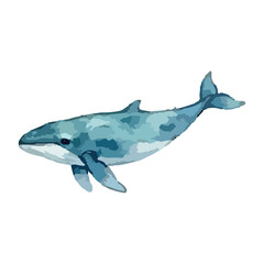 Fototapeta premium Watercolor vector illustration of a whale