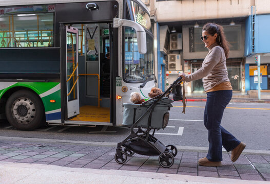 Woman pushing a stroller with dogs on a street in Taiwan