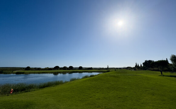 Vibrant green golf course landscape with mature trees under a clear blue sky 