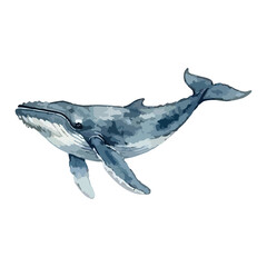 Watercolor vector illustration of a whale © Menhikki