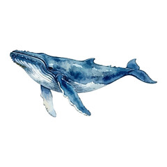 Watercolor vector illustration of a whale © Menhikki