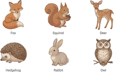 Naklejka premium Autumn Woodland Animals Vector Bundle