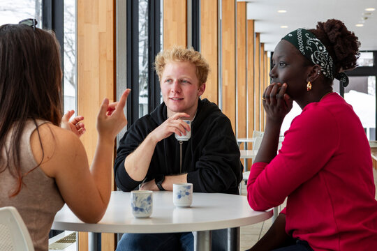 Multiethnic students taking a coffee break in campus cafe