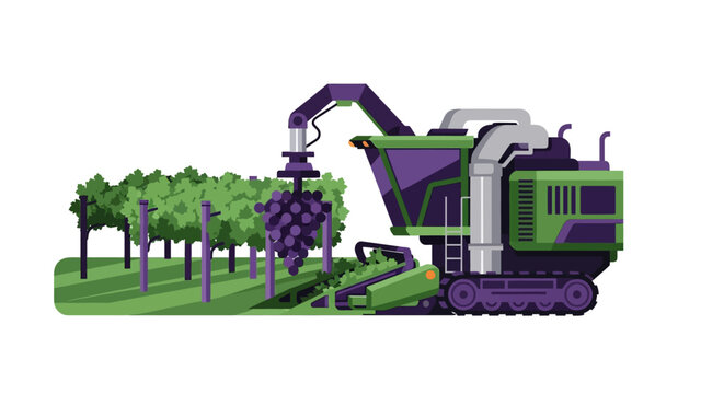 Modern Grape Harvester Machine Vector Illustration in Vineyard, Automated Viticulture and Agricultural Technology for Wine Production